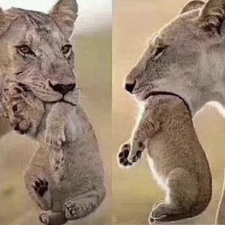 Fisherhzau's profile picture. ECOLOGY