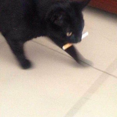 heyomyeggo1's profile picture. 