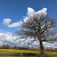 Li.a@crpt (@liacrpt1) 's Twitter Profile