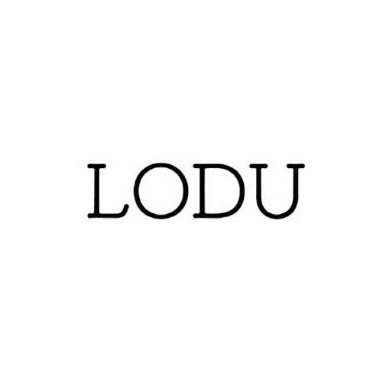 株式会社LODU