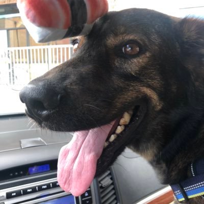 wasiwasabi's profile picture. 