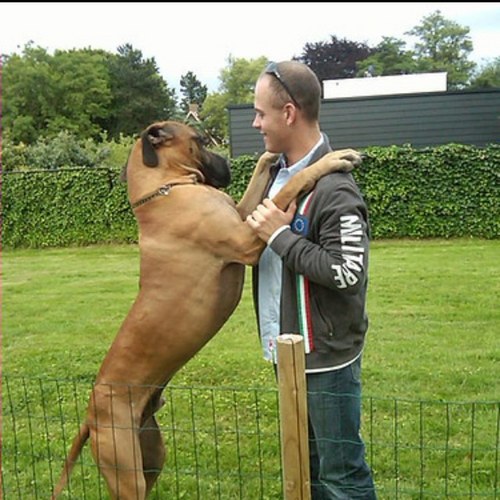 jawmns's profile picture. https://t.co/xLxz4rJRRr