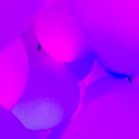 REN (@ren_k_m) 's Twitter Profile