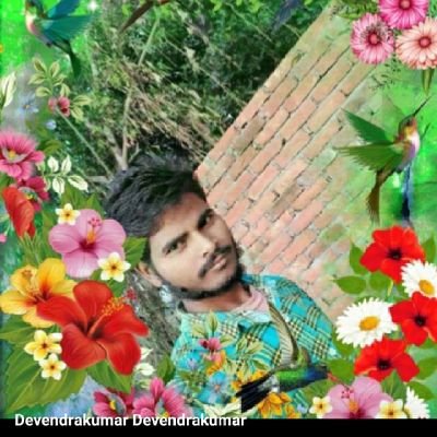 Devendr12541991's profile picture. Devendra Kumar Devendra Kumar
