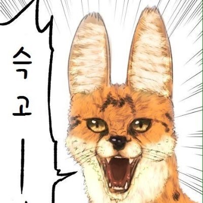 kyj10055's profile picture. NFT화이팅!