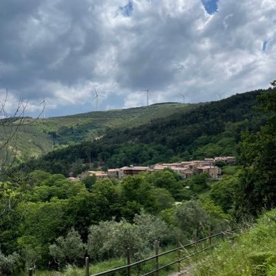 whatgufuck's profile picture. 