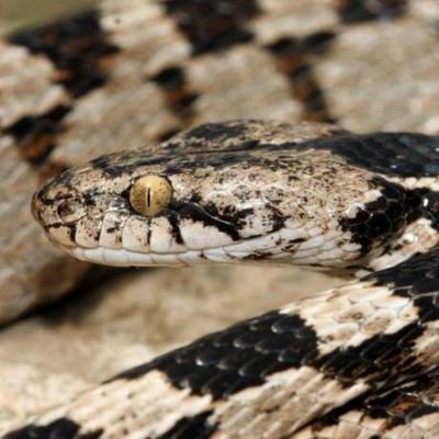 B0c1YSeSgIODxrE's profile picture. 