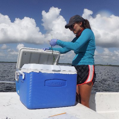 Marine Microbial Ecologist // Seagrass Ecosystems & Clam-Symbiosis // Currently post-doc'ing in the Mitri Lab at University of Lausanne