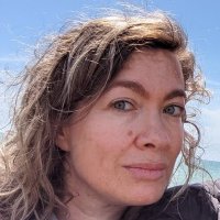 Melanie Dulong de Rosnay (@melanieddr) 's Twitter Profile