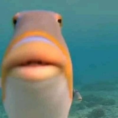 Fanao08's profile picture. 