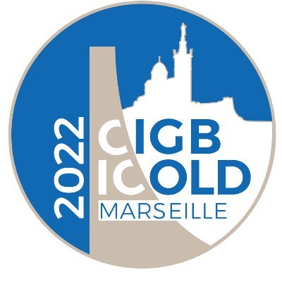 Icold_cigb2022's profile picture. 