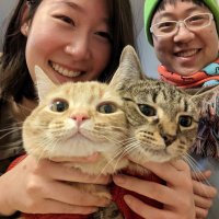 Robert S Wang (@wangdoctormd) 's Twitter Profile