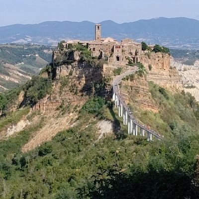 tubo1449's profile picture. 