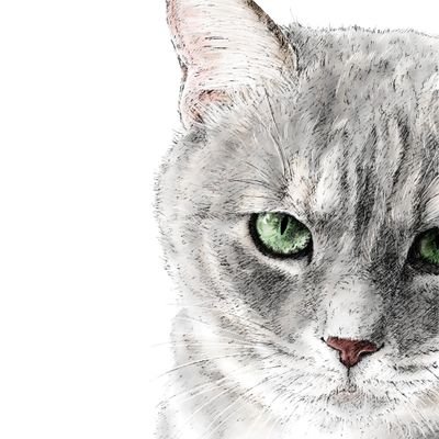 Sabao ありがとうございます まあ 大地真央さんと一緒 カプはお転婆な娘役が似合いそうですねえ Sabao ありがとうございます まあ 大地真央さんと一緒 カプはお転婆な娘役が似合いそうですねえ