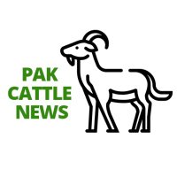 Pak Cattle News(@PakCattle) 's Twitter Profile Photo