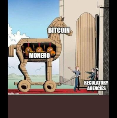 Interested in how these privacy assets perform in this current Fiat ran world since August 1971  #GOLD #Monero #Silver  #xmr #btc #Bitcoin #dollar
