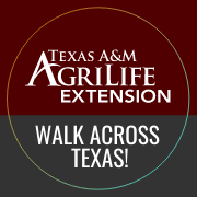 Walk Across Texas(@walkacrosstexas) 's Twitter Profile Photo