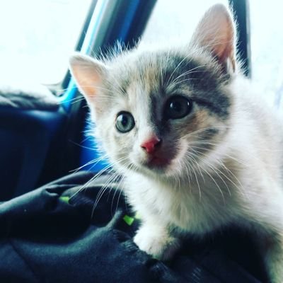 Yilber_GH's profile picture. ...