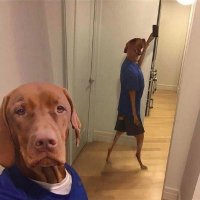 Stanislavd (@stanislavd5) 's Twitter Profile Photo