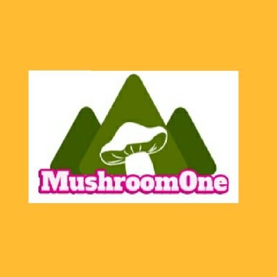 Mushroom grower and huge research on wild edible mushrooms.