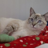 Audrey Shepard (@wmranchnm) 's Twitter Profile