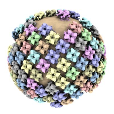 The Department of Virology @institutpasteur investigates a broad variety of viruses and the diseases they cause.