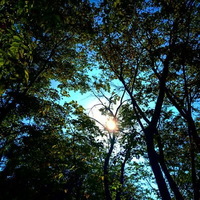 EMay_remigio's profile picture. SOON To be RMT 👩‍🔬
Life must go on -mama