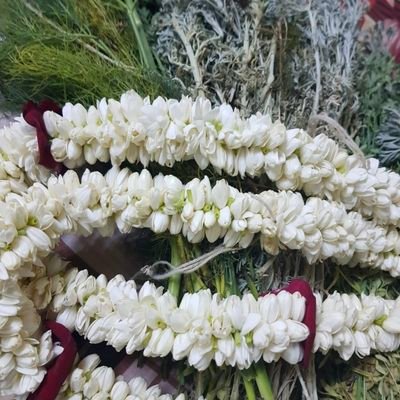 المملكة العربية السعودية كرة القدم السعودية الرياضة الأخبار