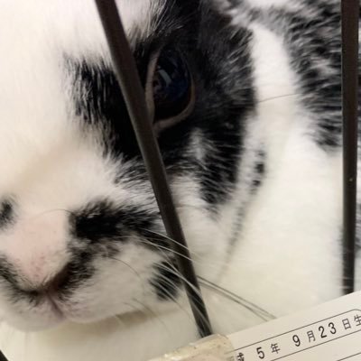 🐰、接客、共感できる、自分の興味などなど。根暗出しまくってるのでご了承を。6個上の旦那居てくれてます。私の人生これから。小さいことは気にしても仕方ない。