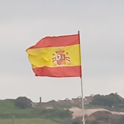 Empresario de la construcción , boina verde, grupo operaciones especiales GOE, subcampeón de España Full Contact, anticomunista, Sánchez dimisión 🔺🇲🇨🇪🇸 Esp