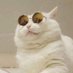 ✿ gorn (@haveagornday) Twitter profile photo ✿ gorn (@haveagornday) Twitter profile photo