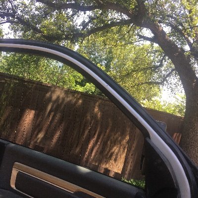 pete98021746's profile picture. P-1. !!!!