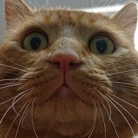 ロードアンドスカイ代表相澤 (@aizahaaaa) 's Twitter Profile