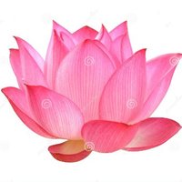 Joseph The Guardian Of Truth יוסף שומר ישראל (@joe10616924) 's Twitter Profile Photo