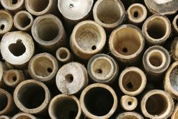 BikeBamboo's profile picture. Ride Bamboo Bikes in the UK