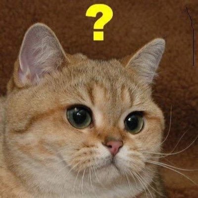 I used to be a druid in wow, and try my best at shooters I also stream both on a very inconsistent schedule come watch if you want or something idk.