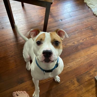 AaronDief14's profile picture. 