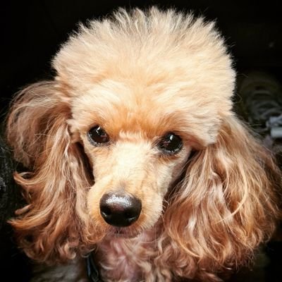MioBello⁷さんのプロフィール画像