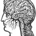 socialaffectiveneuro (@essanbrains) Twitter profile photo socialaffectiveneuro (@essanbrains) Twitter profile photo