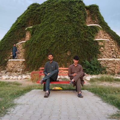 AlmasOrakzai's profile picture. 