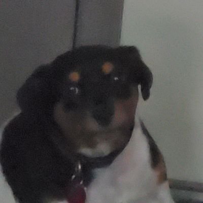 Zss byleth main and millia main always looking to play good players