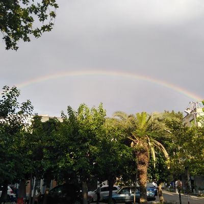 SaatiGunes's profile picture. 