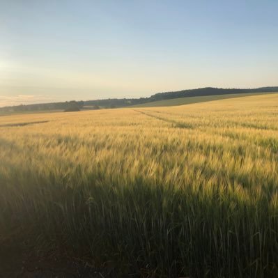 manfred_hoffie's profile picture. 