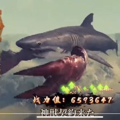 三熊葉月さんのプロフィール画像