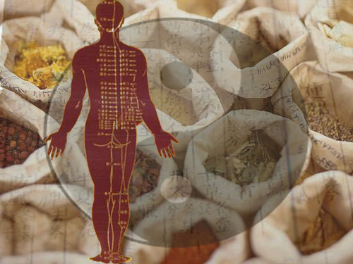 DietTuina's profile picture. Mon site est destiné aux personnes qui souhaitent en savoir plus et/ ou essayer la diététique chinoise et le massage Tui Na.