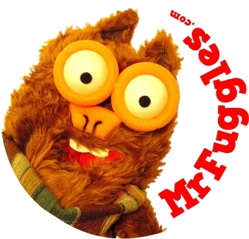 Mr Fuggles