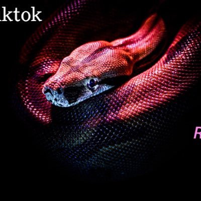 toto07451's profile picture. 21 ans