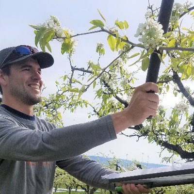 Research Assistant Professor @ Washington State University - TFREC. Treefruit IPM.