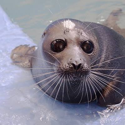 jrzJBFeaV6DXs2o's profile picture. やあ。