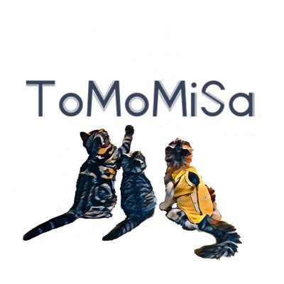ToMoMiSa15 Profile Picture